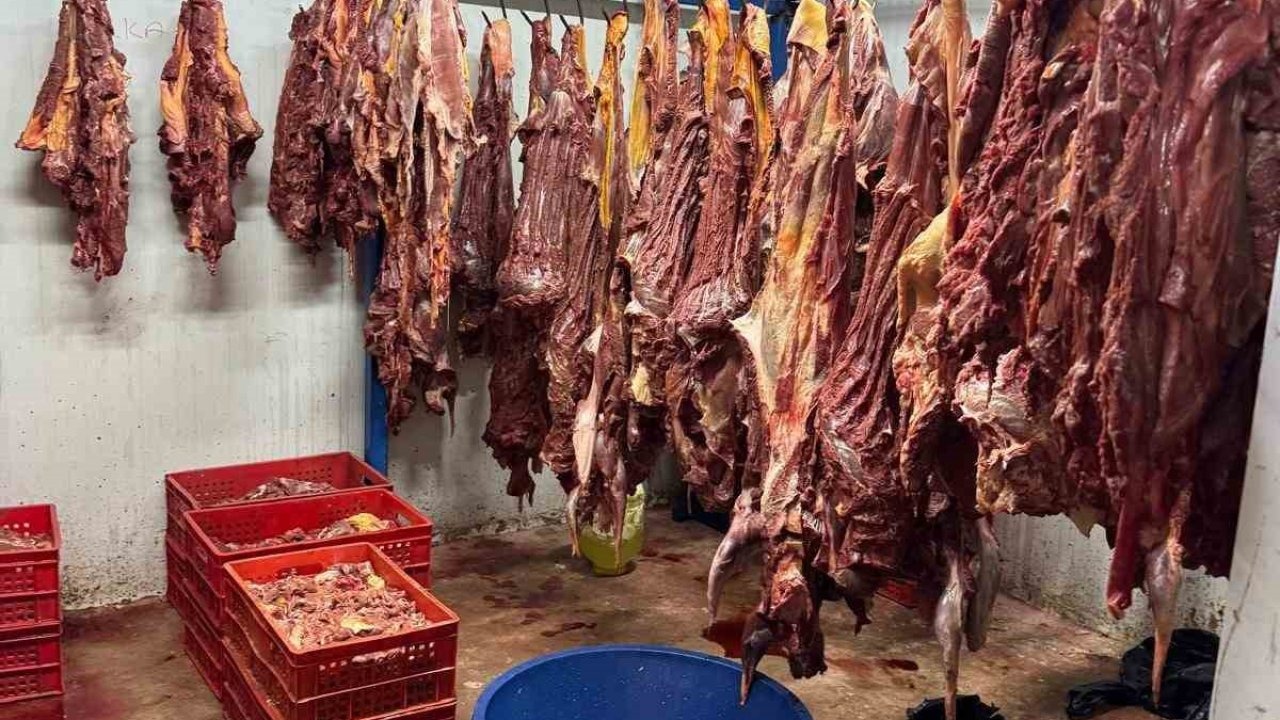 Adana’da 3 ton bozulmuş at eti ele geçirildi