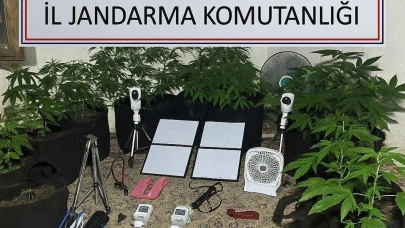 Uzaktan kontrolle metruk binada uyuşturucu yetiştirdi