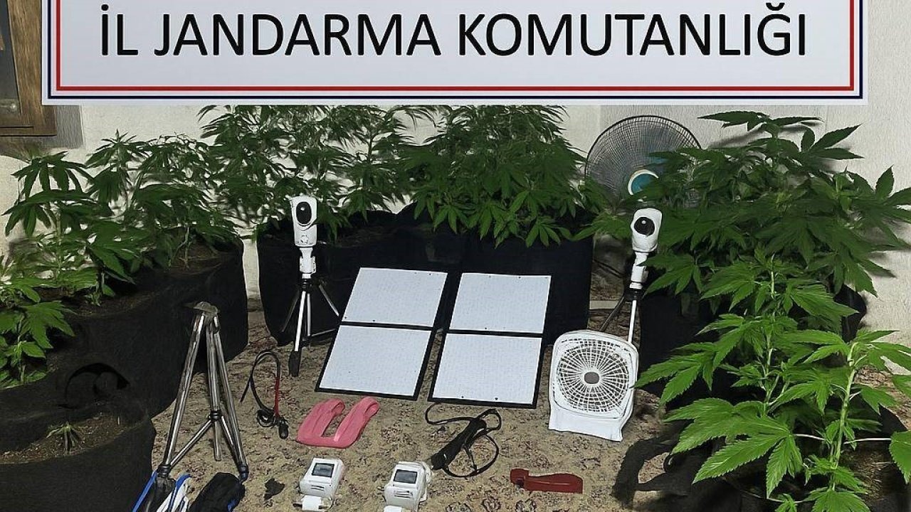 Uzaktan kontrolle metruk binada uyuşturucu yetiştirdi