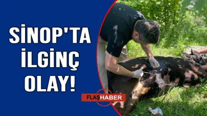 Vatandaşlar seferber oldu