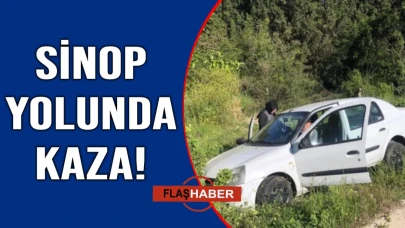 Kontrolden çıkan otomobil şarampole devrildi
