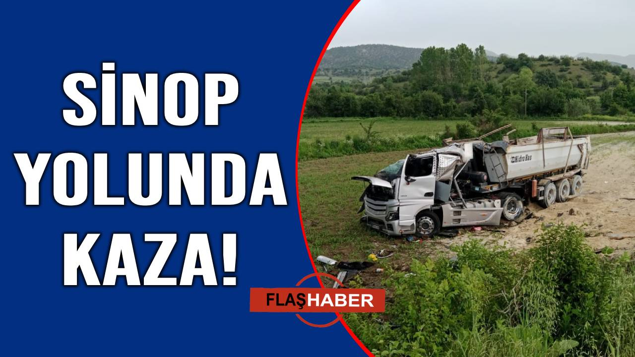 Kontrolden çıkan hafriyat kamyonu şarampole uçtu