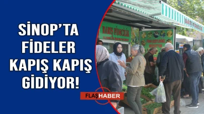 Sinop'ta havaların ısındı, fide satışları arttı