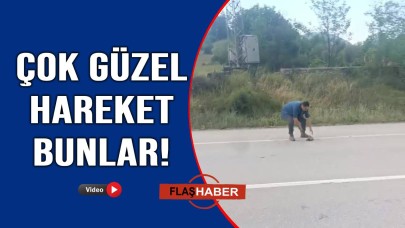 Sinop'ta duyarlı sürücüden örnek davranış!