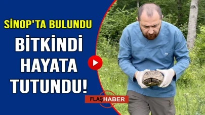 Vatandaşlar bulmasa bitmişti