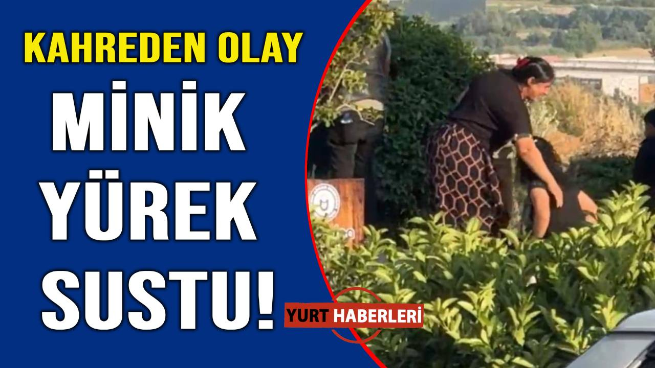 Pikaptan düşen çocuk hayatını kaybetti
