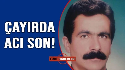 Yıldırımın isabet ettiği çoban hayatını kaybetti