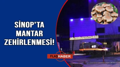 Sinop'ta mantar hastanelik etti