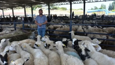 Boyabat'ta hayvan pazarı bayram öncesi kapılarını açıyor