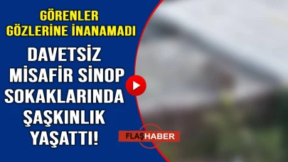 Çaylarını içen vatandaşlar öyle bir şey gördüler ki