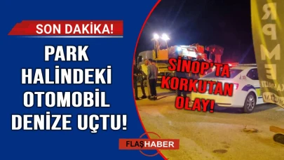 El freni çekilmeyen otomobil denize uçtu