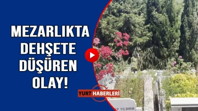 Kanlar içinde bebek cesedi bulundu