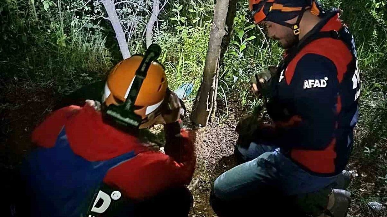 Kayıp vatandaş ormanda ölü bulundu