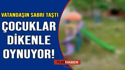 Sinop’ta mahalle sakinlerinin ot isyanı