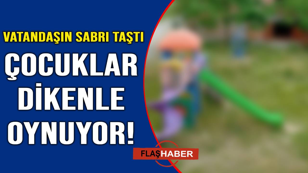 Sinop’ta mahalle sakinlerinin ot isyanı