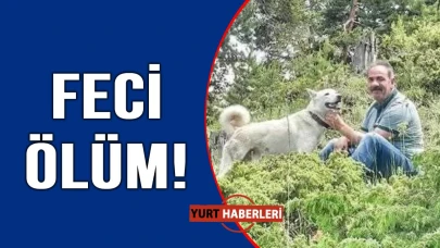 Damperle kasa arasında can verdi
