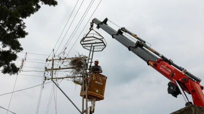 YEDAŞ'tan Sinop’ta leyleklere güvenli yuva