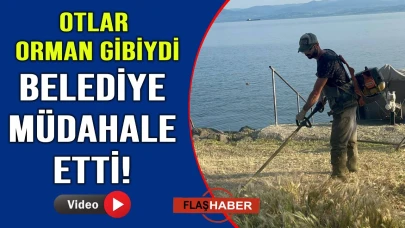 Belediye o noktaya el attı