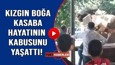 Onu sakinleştirmek hiç kolay olmadı