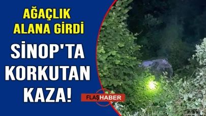 Sinop’ta direksiyon hakimiyetini kaybeden otomobil ağaçlık alana girdi