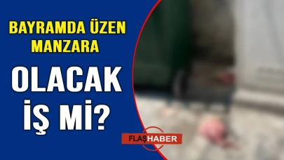 Sinop'ta beklenen manzara