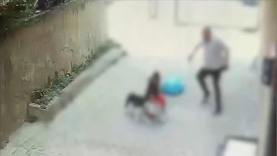 Pitbull cinsi köpeğin saldırdığı çocuk yaralandı