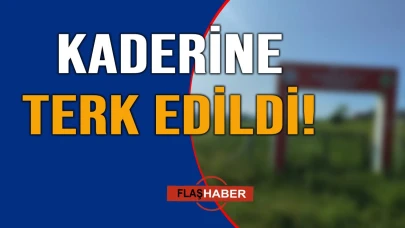 Orman mı, otlak mı?