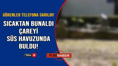 Yaz sıcağında serinleten çözüm