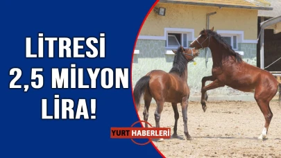 Türkiye'de üretiliyor, yok satıyor!