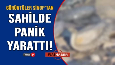 Görenler şaşkına döndü!