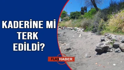 Sinop'un popüler plajı bakımsızlıkla gündemde!