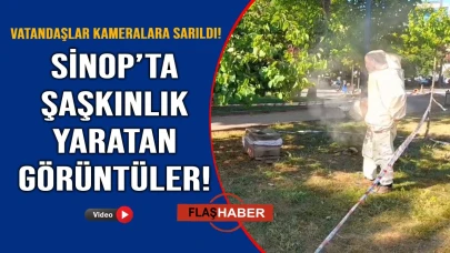 Görenler gözlerine inanamadı