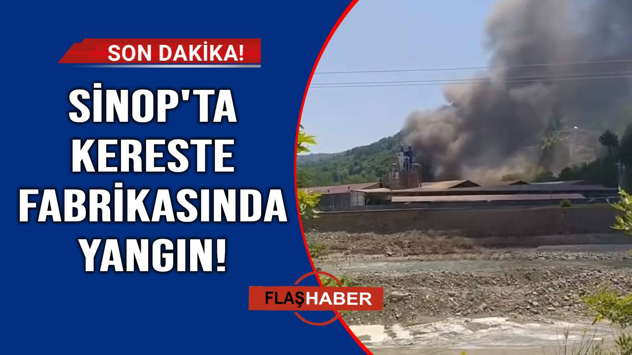 Sinop'ta kereste fabrikasında yangın paniği