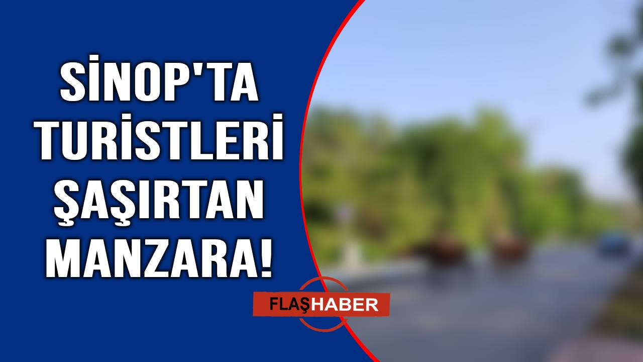 Hindistan'a döndük!