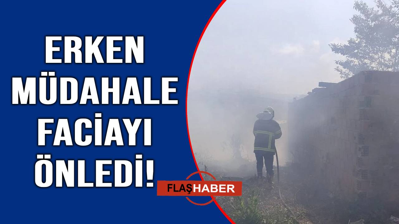 Sinop'ta ot yangını korkuttu