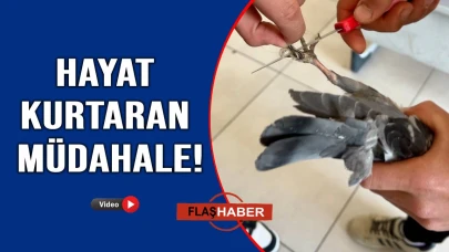 İmdadına öğrenciler yetişti