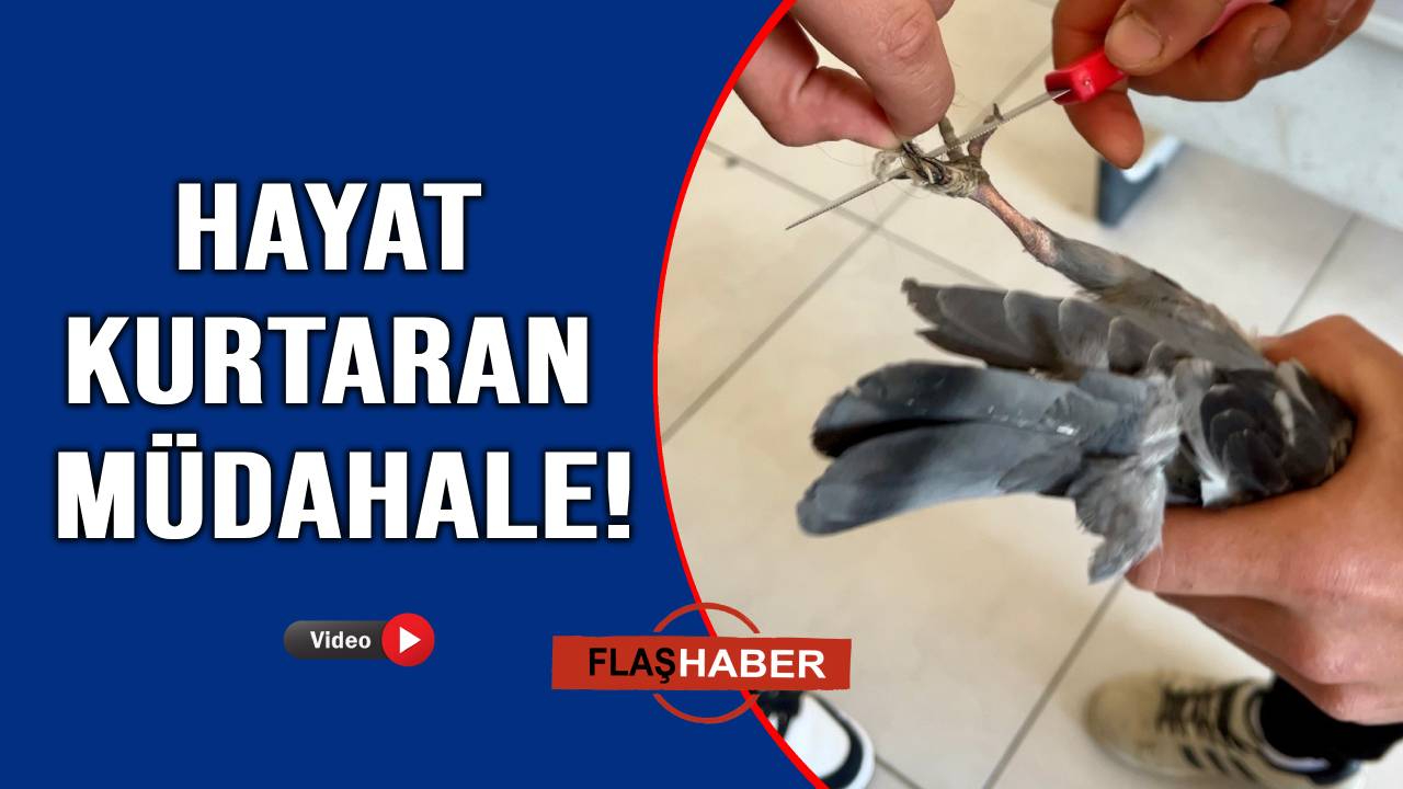İmdadına öğrenciler yetişti