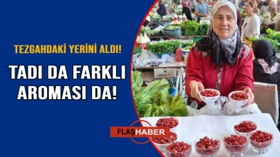 Sinop'ta altın değerinde bir lezzet!