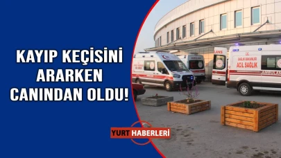 Kaybolan keçisi hayatına mal oldu
