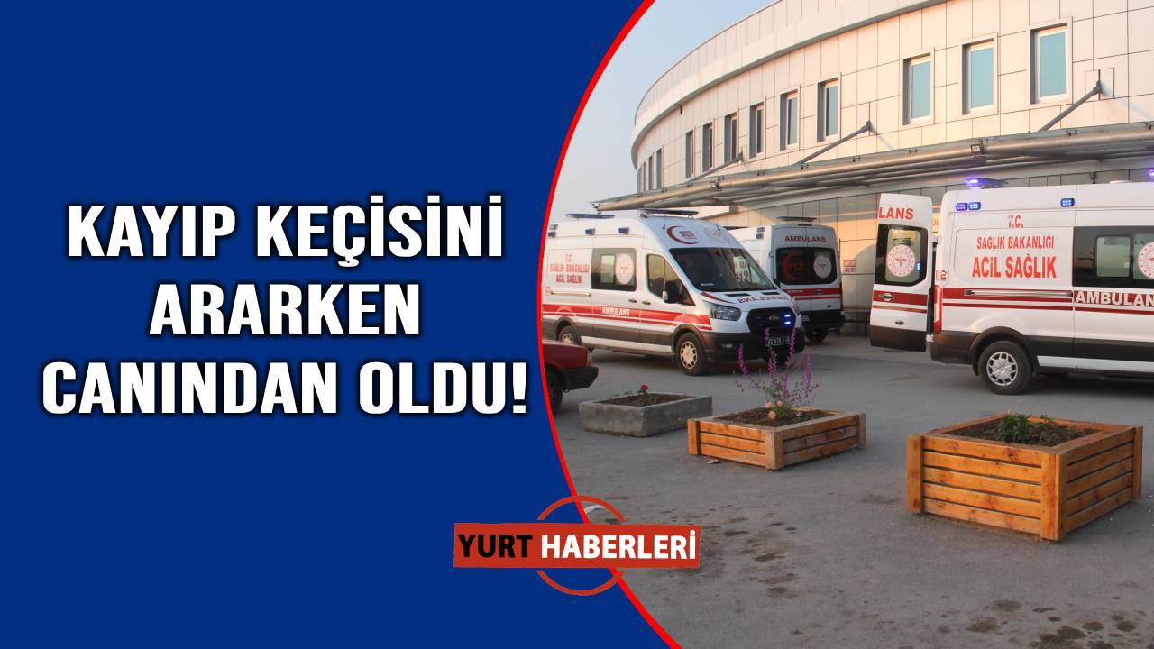 Kaybolan keçisi hayatına mal oldu