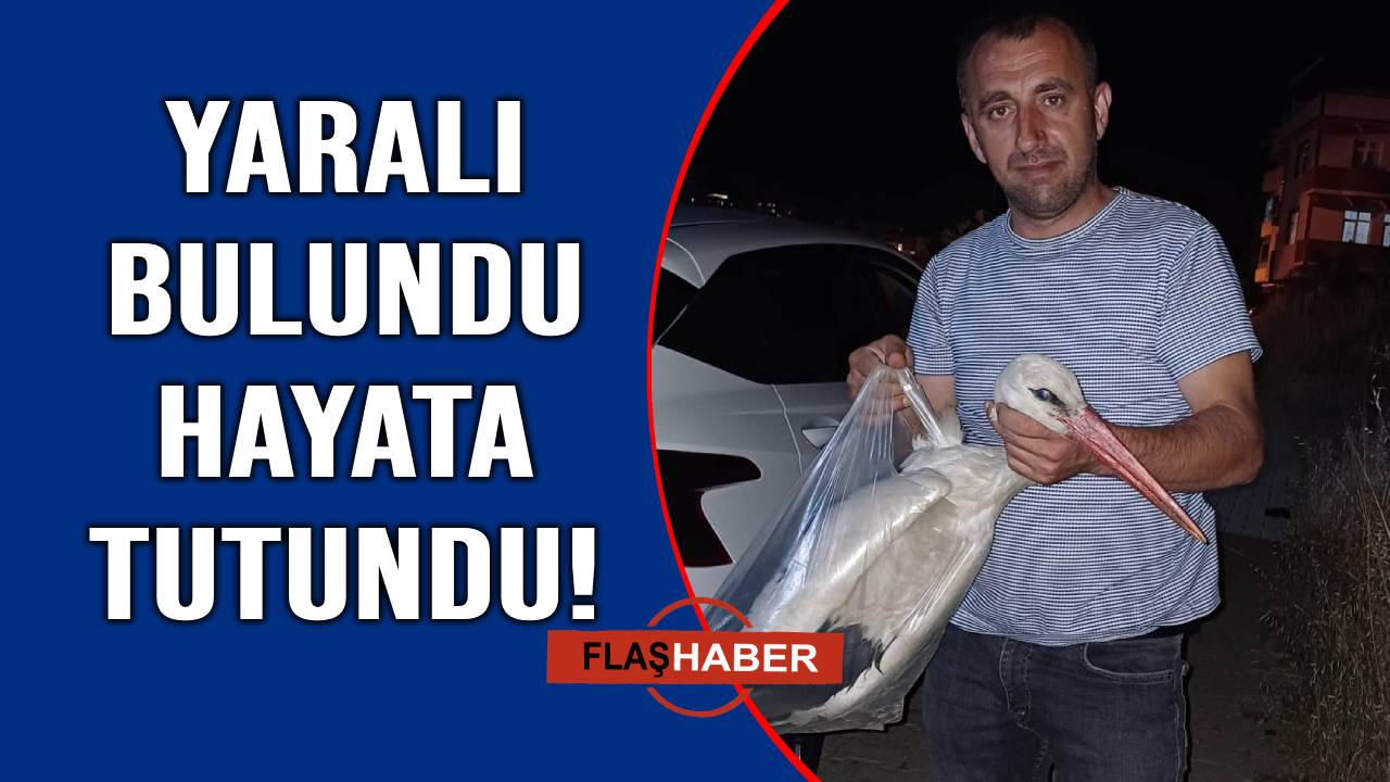 Vatandaşın duyarlılığı bir canı kurtardı