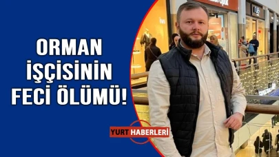 Tomruk faciası can aldı
