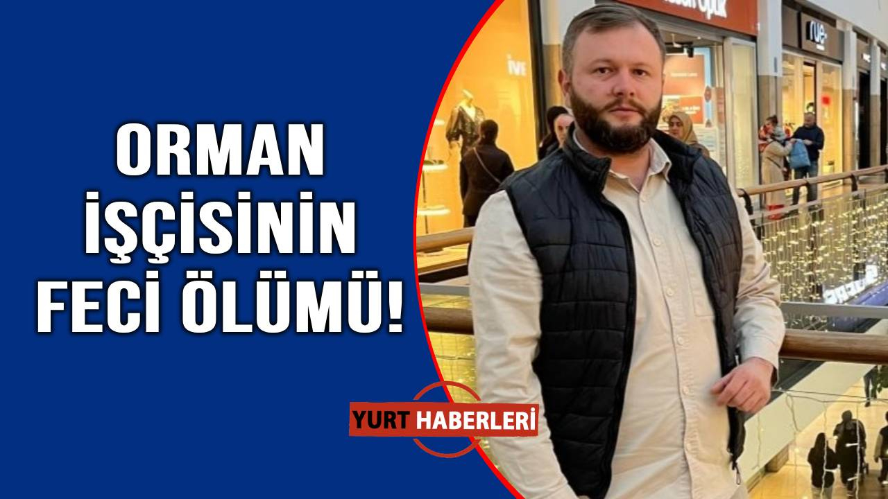 Tomruk faciası can aldı