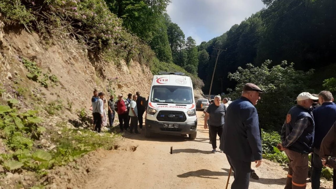 Kontrolden çıkan pat pat, dereye devrildi: 2 yaralı