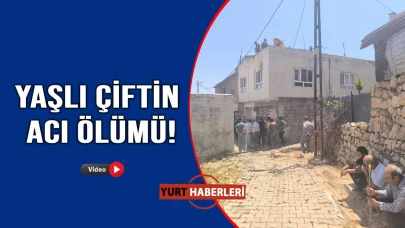 Birlikte can verdiler