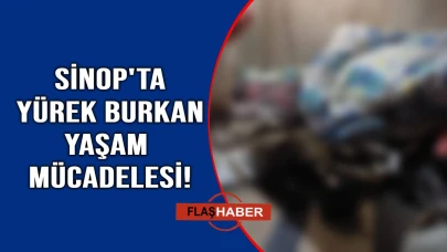 Evinden uzaklaştırıldı,  tuvalet kulübesinde hayata tutunuyor