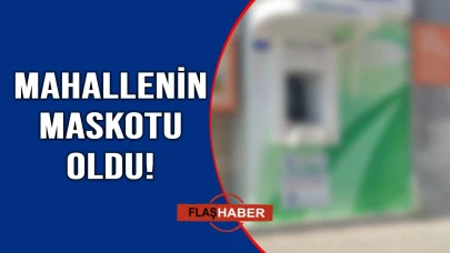 Gören telefona sarılıyor!