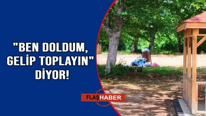 Bu manzara Millet Ormanı'ndan!