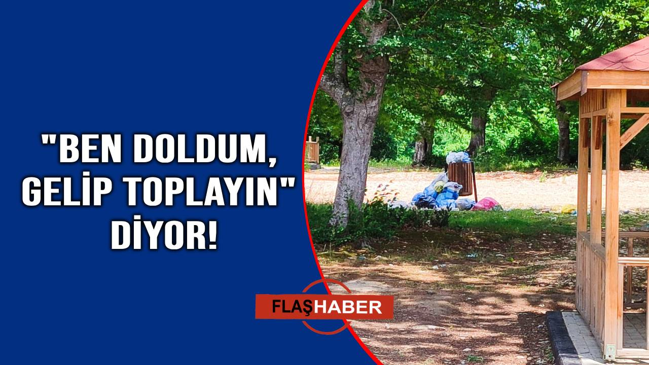 Bu manzara Millet Ormanı'ndan!