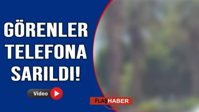 Sinop'ta kışı hatırlatan manzara